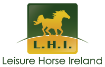 www.lhi.ie