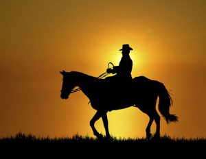 Leisure Horse Ireland